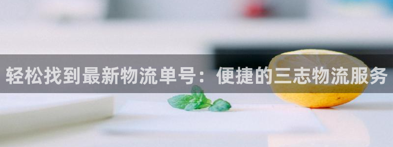 ,优游国际软件：轻松找到最新物流单号