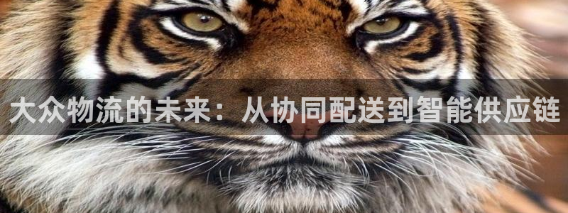 优游国际官网下载APP：大众物流的未