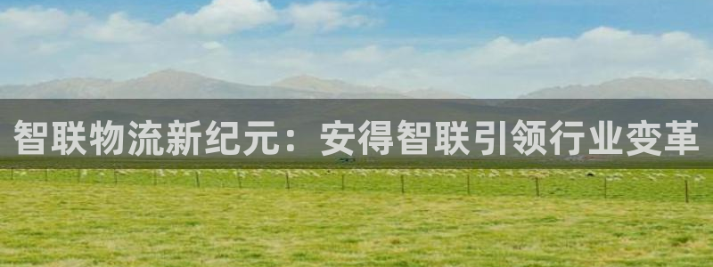 ,优游国际自行车图片大全：智联物流新