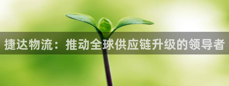 ,优游国际是什么是赌博吗?：捷达物流