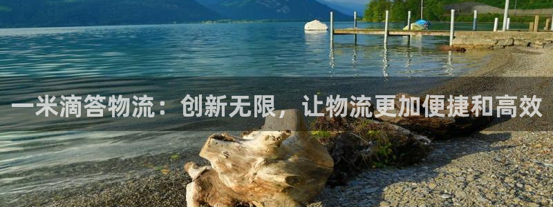 优游国际官方网站是多少：一米滴答物流
