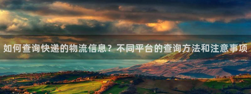 优游国际官网下载多少钱：如何查询快递