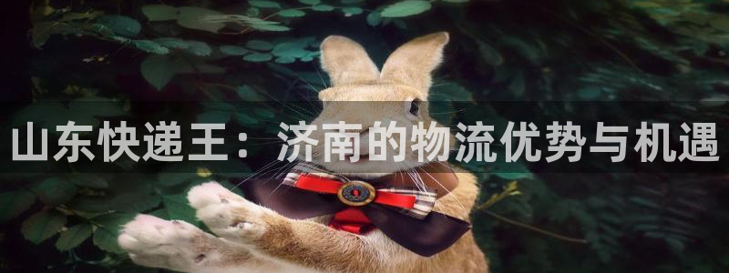 ,优游国际app怎么注销：山东快递王