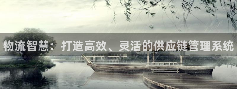 ,优游国际：物流智慧：打造高效、灵活