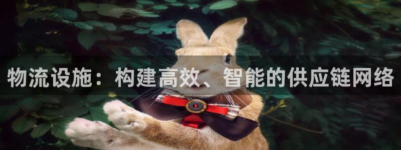 ,优游国际：物流设施：构建高效、智能