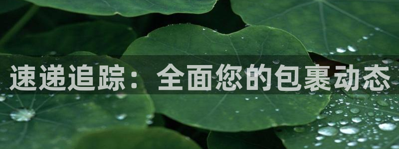 ,优游国际软件是什么：速递追踪：全面
