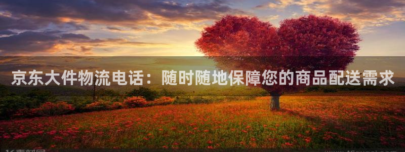 ,优游国际官网版所有版本：京东大件物流电话：随时随地保障您的