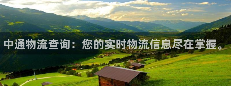 ,优游国际充值