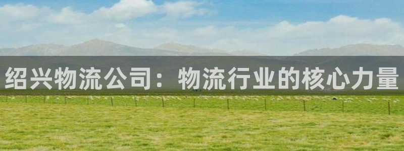 优游国际官方网站：绍兴物流公司：物流