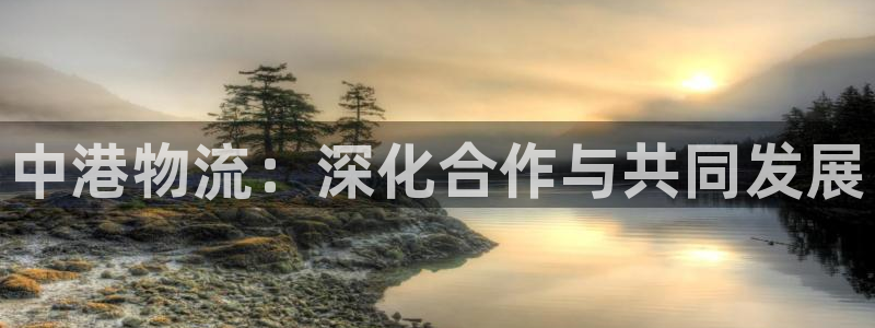 ,优游国际机器人是什么软件：中港物流