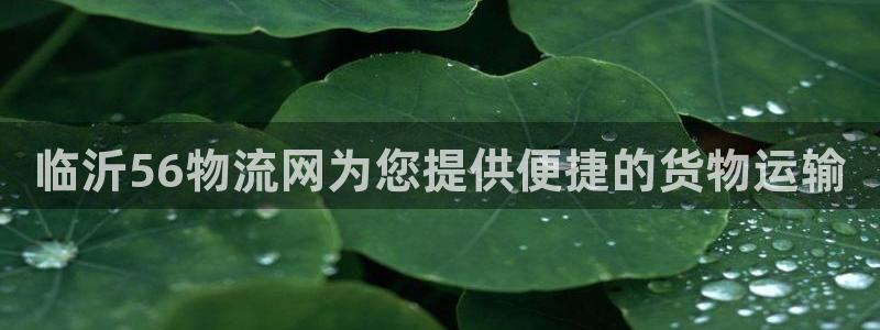 ,优游国际登录网：临沂56物流网为您