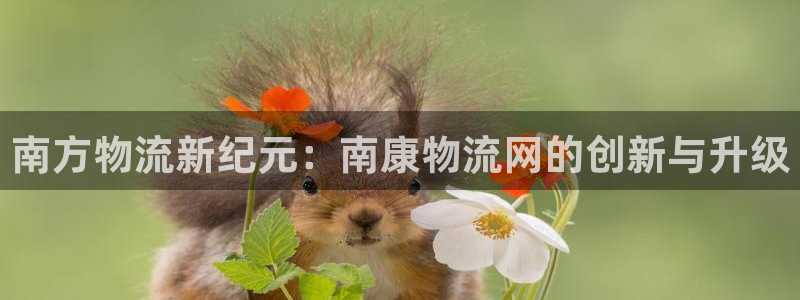,优游国际黑吗：南方物流新纪元：南康