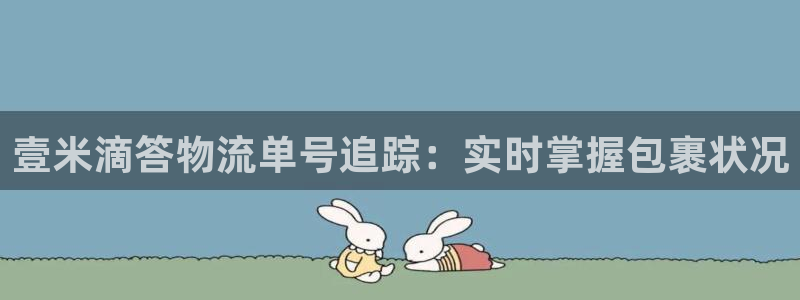 ,优游国际软件是什么：壹米滴答物流单