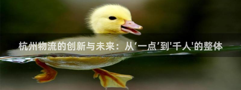 ,优游国际推广链接是多少个：杭州物流