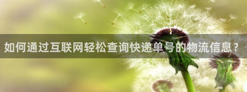 ,优游国际麻将：如何通过互联网轻松查