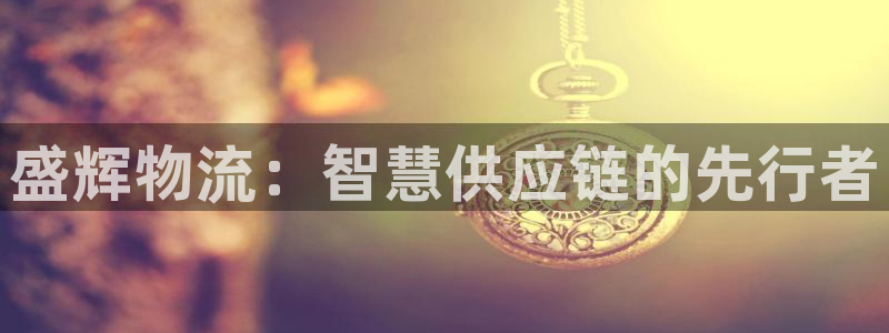 ,优游国际是什么软件:盛辉物流:智慧