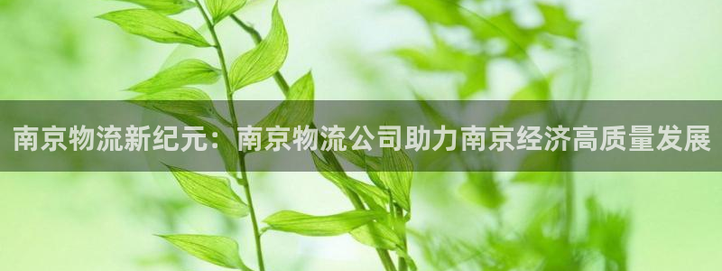 ,优游国际免费：南京物流新纪元：南京