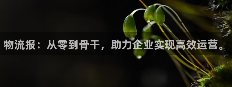 ,优游国际娱乐官网网页：物流报：从零