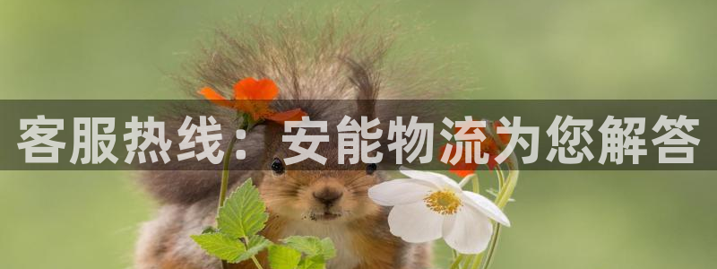 优游国际官网入口pc29官网版下载：