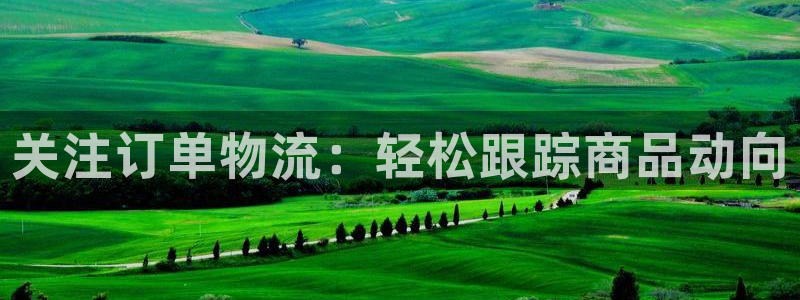 ,优游国际cn：关注订单物流：轻松跟踪商品动向