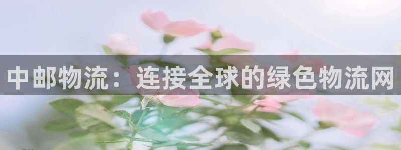 ,优游国际大神预测:中邮物流:连接全