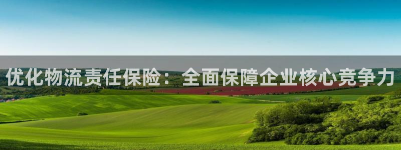 ,优游国际注册上限是啥意思：优化物流