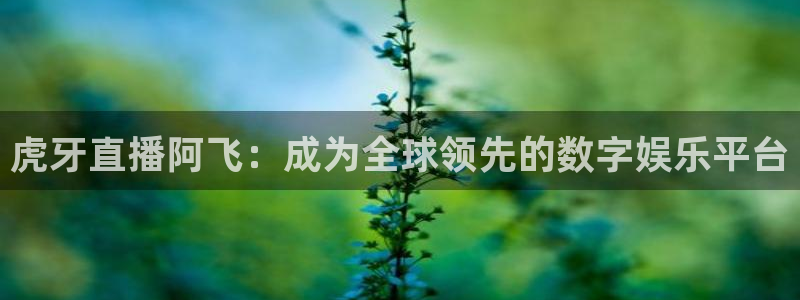 857直播体育足球主播